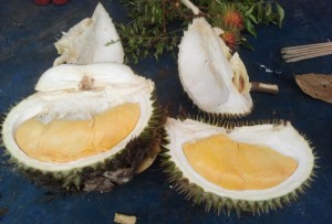 durian raja buah tempatan